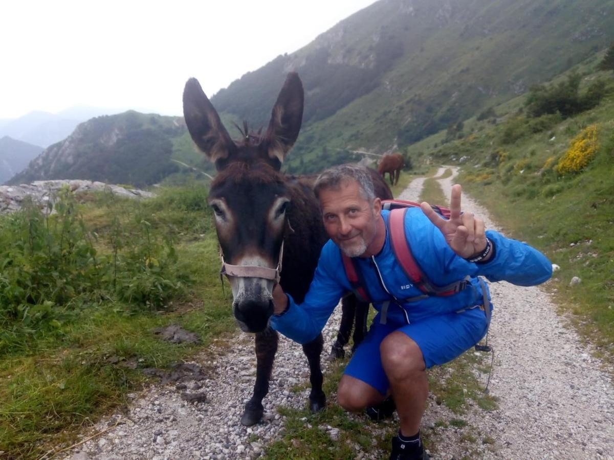 Appartamento Taverna Gattolini Venzone Dış mekan fotoğraf